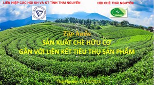 Thông báo lịch tập huấn sản xuất chè hữu cơ gắn với liên kết tiêu thu sản phẩm 